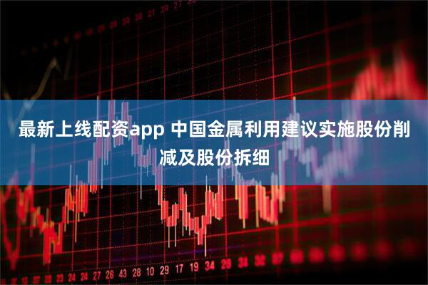 最新上线配资app 中国金属利用建议实施股份削减及股份拆细