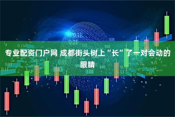 专业配资门户网 成都街头树上“长”了一对会动的眼睛